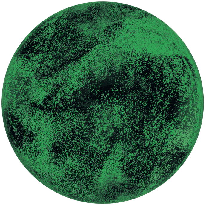 1 Sphère TM 20" Glow in the dark Vert Glitter - Prima