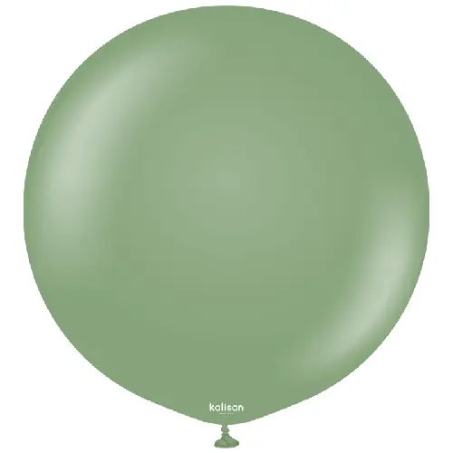 24" Retro Ballon Eucalyptus  1ct Fds - Kalisan