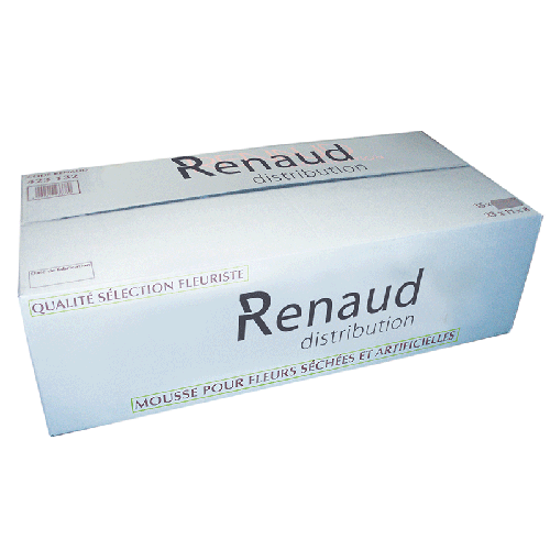 1 Bloc de Mousse Florale