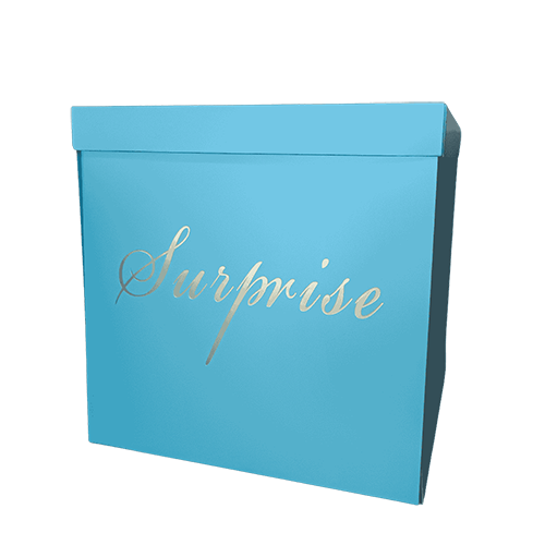 [B510BL] Surprise Boîte Bleu - Borosino