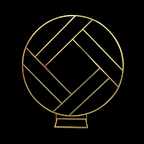 [B468-2G] Cadre Cercle En Métal Doré 2M – Borosino