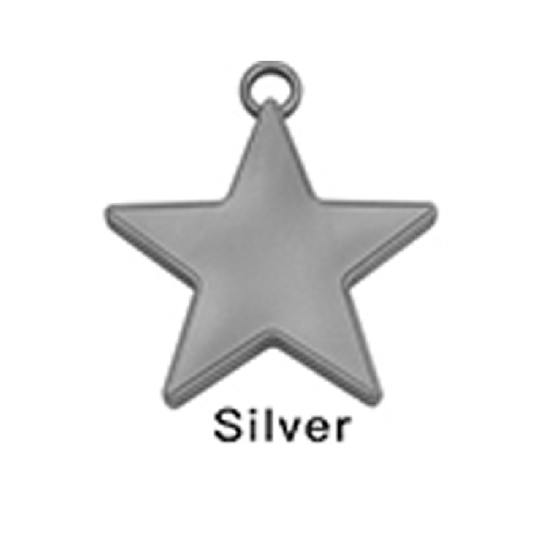 [B615S] 100 Lest Étoile 8G Argent – Borosino