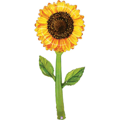 [G25143-P-FR] Fresh Picks Watercolor Sunflower 5' - Grabo