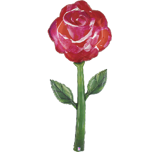 [G25162-P-FR] Fresh Picks Watercolor Rose 5' - Grabo