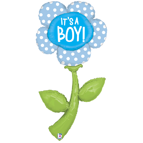 [G35295-P] Fresh Picks It's a Boy 5' - Grabo