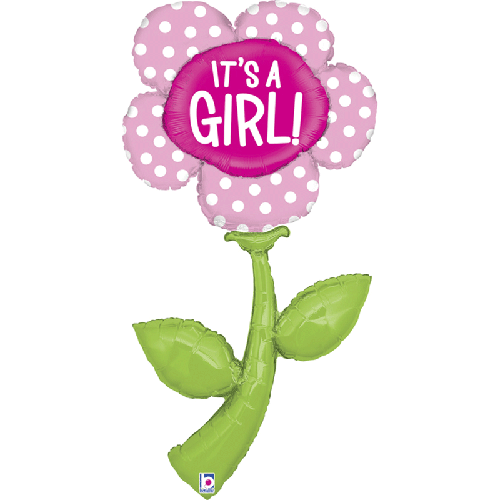 [G35297-P] Fresh Picks It's a Girl 5' - Grabo