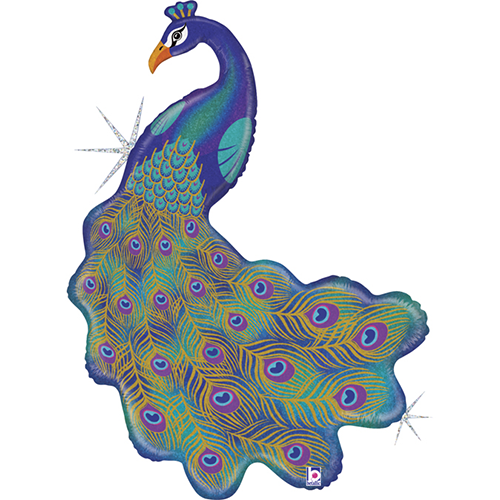 [G35900GH-P] Glitter Peacock 41" - Grabo