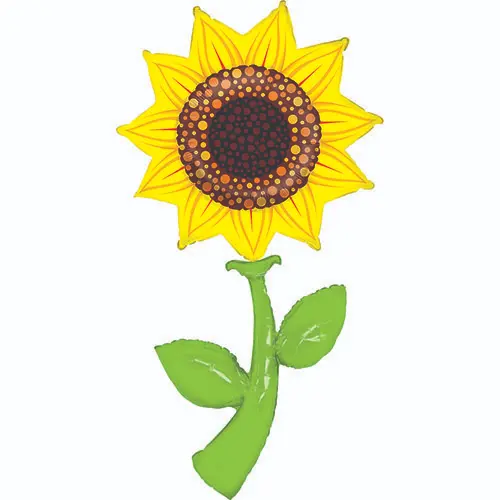[G85778-P-FR] Tournesol Fresh Pick 5' - Grabo