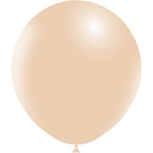 [HG118-5P42-FR] 5 Ballons 18" Standard Blush – Balloonia