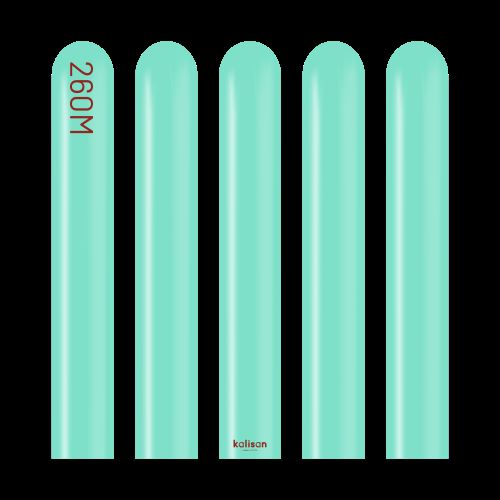 [10223301] 260 Modelling Standard Sea Green 100ct - Kalisan