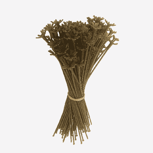 [C93002BIO] 100 Balloon Saddles 12" - PremiumConwin - FDS