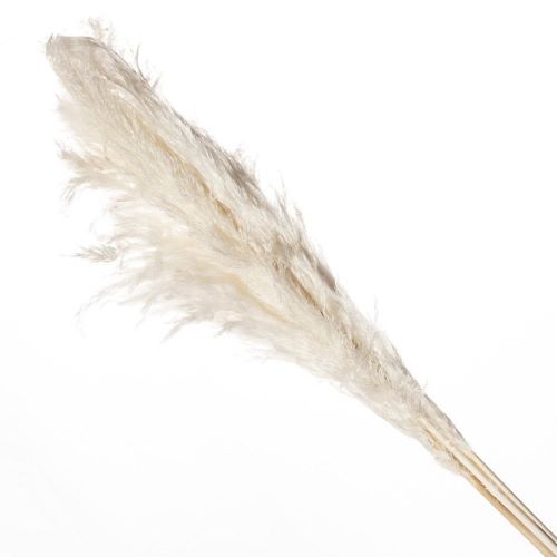 [567095] Mini pampa x10