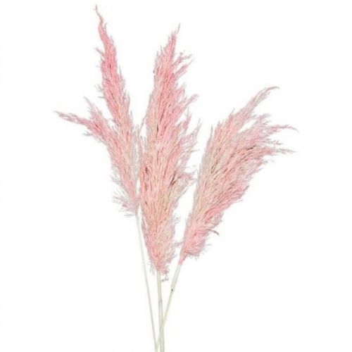 [567096-FR] Mini pampa x10pc natural pink (FR)