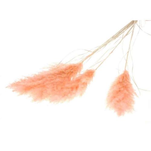 [569080-FR] Herbes de Pampa Roses 5 pcs 115 cm (FR)