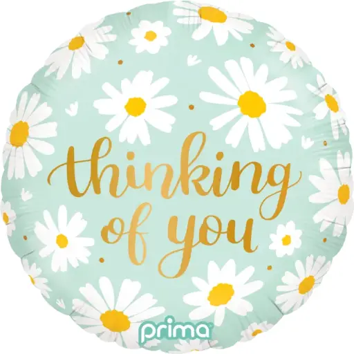 [PF-0064-18] 1 alu 18" Thinking of You Marguerites - Prima