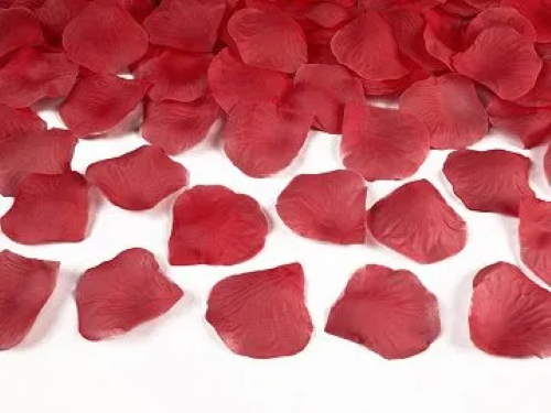 [PLRD100-007] Lot de 100 pétale de rose rouge